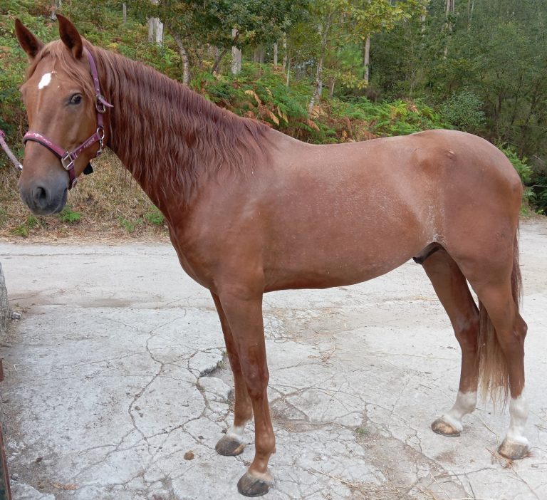 WhatsApp Image 2025 10 12 at 17.45.34